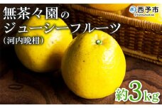 ＜無茶々園のジューシーフルーツ（河内晩柑）約3kg＞ 果物 フルーツ 選べる内容量 かわちばんかん みかん ミカン 蜜柑 柑橘 期間限定 季節限定 食べて応援 特産品 愛媛県 西予市 【常温】