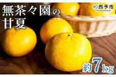 ＜無茶々園の甘夏 約7kg＞ 果物 あまなつ みかん ミカン 蜜柑 柑橘 フルーツ 期間限定 季節限定 食べて応援 特産品 愛媛県 西予市 【常温】