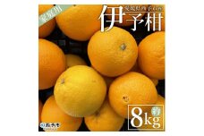 ＜愛媛県西予市産 伊予柑 家庭用 約8kg＞ 訳あり ワケアリ 自宅用 果物 くだもの ミカン 柑橘 フルーツ いよかん イヨカン 特産品 産地直送 段畑みかん 愛媛県 西予市【常温】『2026年1月上旬～1月末迄に順次出荷予定』