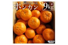 ＜愛媛県西予市産 ポンカン 約9kg 贈答用＞ 果物 くだもの フルーツ 蜜柑 ミカン 柑橘 ぽんかん 果実 果肉 ジューシー 特産品 美味しい おいしい 甘い ギフト 段畑みかん 愛媛県 西予市【常温】