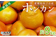 ＜愛媛県西予市産 ポンカン 約9kg 家庭用＞ 訳あり ワケアリ 果物 くだもの ミカン 蜜柑 柑橘 ぽんかん おいしい フルーツ サイズ不揃い ご自宅用 果実 果肉 ジューシー 特産品 段畑みかん 愛媛県 西予市【常温】『2026年1月中旬～2月上旬迄に順次出荷予定』
