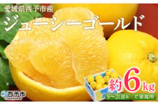 ＜ジューシーゴールド（河内晩柑） ご家庭用 約6kg＞ 訳あり 果物 フルーツ かわちばんかん じゅーしーごーるど みかん 蜜柑 オレンジ 柑橘 食べて応援 特産品 宇都宮物産 愛媛県 西予市 【常温】『2026年4月中旬～6月中旬迄に順次出荷予定』