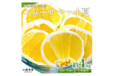 ＜ニューサマー小夏 ご家庭用 約4kg＞ 訳あり 果物 フルーツ みかん オレンジ 柑橘 食べて応援 特産品 愛媛県 西予市 【常温】