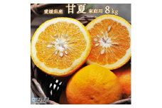 ＜愛媛県西予市産 甘夏 約8kg 家庭用＞ 果物 くだもの ミカン 柑橘 フルーツ あまなつ 訳あり ワケアリ 自宅用 産地直送 特産品 段畑みかん 愛媛県 西予市【常温】『2026年3月中旬～4月上旬迄に順次出荷予定』