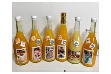 愛媛みかん記念日オーダージュース（6本セット）