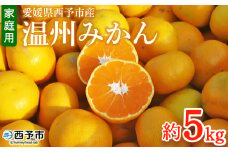 ＜愛媛県西予市産 温州みかん 家庭用 約5kg ＞ 果物 くだもの ミカン 柑橘 フルーツ 訳あり ワケアリ 旬 特産品 段畑みかん 愛媛県 西予市【常温】『2025年10月中旬～11月中旬迄に順次出荷予定』