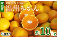 ＜愛媛県西予市産 温州みかん 家庭用 約10kg＞ 果物 くだもの ミカン 蜜柑 柑橘 フルーツ 訳あり ワケアリ 食べて応援 特産品 段畑みかん 愛媛県 西予市【常温】『2025年10月中旬～11月中旬迄に順次出荷予定』