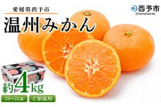 先行予約受付 ＜愛媛県西予市産 温州みかん ご家庭用 約4kg＞ 訳あり わけあり 果物 フルーツ みかん ミカン 蜜柑 オレンジ 柑橘 甘い あまい おいしい 美味しい 食べて応援 特産品 宇都宮物産 愛媛県 西予市【常温】