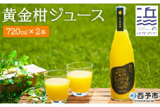 黄金柑ジュース【２本セット】（愛媛県明浜産）