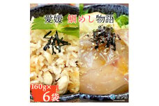 愛媛　鯛めし物語（６袋）　