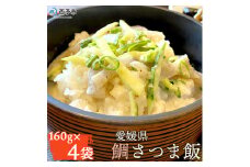 愛媛県　鯛さつま飯（４袋）