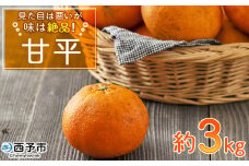 ＜見た目は悪いが味は絶品 無茶々園の甘平 約3kg（15玉前後）＞果物 かんぺい みかん 蜜柑 柑橘 フルーツ 期間限定 季節限定 数量限定 無茶々園 特産品 愛媛県 西予市【常温】