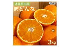 紅まどんなと同品種！＜浅井果樹園直送 まどんな 約3kg（数量限定）西宇和産 ＞ 紅マドンナ 愛媛果試第28号 柑橘 果物 フルーツ オレンジ 食べて応援 特産品 産地直送 西宇和 愛媛県 西予市【常温】