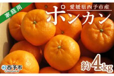 ＜愛媛県西予市産 ポンカン 約4kg 家庭用＞ 果物 くだもの ミカン 柑橘 ぽんかん フルーツ 旬 おいしい サイズ不揃い キズあり 特産品 段畑みかん 愛媛県 西予市【常温】『2026年1月中旬～2月上旬迄に順次出荷予定』