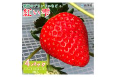 くまさん農園　愛媛のブランドいちご　完熟「紅い雫」（４パック）