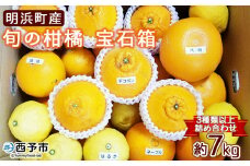 産地直送!！　愛媛県明浜町産　旬の柑橘　宝石箱（宇都宮農園）
