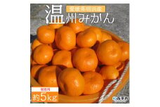 安樹屋　愛媛県明浜産　温州みかん（南柑20号） ５kg（家庭用）