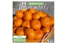 安樹屋　愛媛県明浜産　温州みかん（南柑20号） 10kg（家庭用）