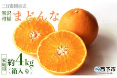 紅まどんなと同品種！＜贅沢柑橘「まどんな」家庭用 約4kg＞ 果物 フルーツ マドンナ みかん ミカン 蜜柑 オレンジ 愛媛果試第28号 柑橘 訳あり 産地直送 三好農園 西宇和 愛媛県 西予市【常温】