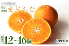 紅まどんなと同品種！＜贅沢柑橘「まどんな」贈答用 12～16個入り＞ 果物 フルーツ 愛媛果試第28号 みかん 蜜柑 ミカン オレンジ マドンナ ギフト 贈り物 特産品 三好農園 西宇和 愛媛県 西予市【常温】