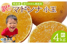 紅まどんなと同品種！＜訳あり マドンナ 約4kg（小玉） 浜のみかん屋直送＞ 明浜産 果物 フルーツ みかん オレンジ 柑橘類 愛媛果試第28号 ご家庭用 自宅用 食べて応援 特産品 産地直送 愛媛県 西予市【常温】