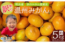 ＜訳あり 温州みかん 約5kg＞ 明浜産 果物 フルーツ みかん 蜜柑 ミカン うんしゅうみかん ウンシュウミカン オレンジ 柑橘 家庭用 食べて応援 特産品 浜のみかん屋 直送 愛媛県 西予市 【常温】