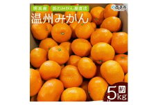 明浜産 浜のみかん屋直送 温州みかん 贈答用（5kg）