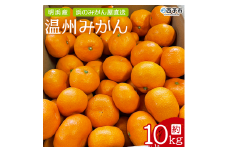 明浜産 浜のみかん屋直送 温州みかん  贈答用（10kg）