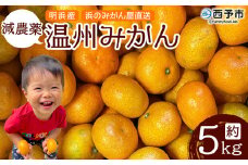 明浜産 浜のみかん屋直送 減農薬温州みかん（5kg）