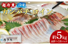 ＜「超冷薫」冷凍カンパチ ロイン 約5kg（9～16パック入り）＞ かんぱち 魚介類 さかな 新鮮 水産物 お刺身 さしみ 煮物 焼き魚 血抜き 骨なし 個包装 パーティー キャンプ お祝い 内祝い 御礼 ダイニチ 愛媛県 西予市【冷凍】