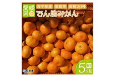愛媛県西宇和産　でん助みかん（温州みかん）５kg　ご家庭用