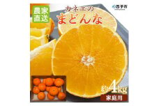 いのうえ農園直送マドンナ　4kg（家庭用）数量限定