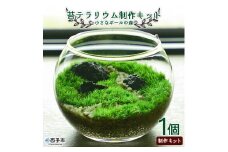 苔テラリウム制作キット「小さなボールの森」★作り方動画付