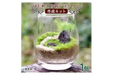 はじめての苔テラリウムにピッタリの作成キット★作り方動画付