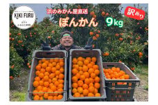 明浜産 浜のみかん屋直送 ポンカン 訳あり（９kg）