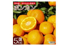 明浜産 浜のみかん屋直送 ポンカン 贈答用（4.5kg）