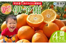 ＜訳あり 伊予柑 約4kg 浜のみかん屋 直送＞ ワケアリ イヨカン いよかん みかん ミカン 蜜柑 家庭用 果物 フルーツ おいしい 甘い オレンジ 柑橘類 明浜産 ご自宅用 特産品 愛媛県 西予市【常温】