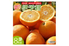 明浜産 浜のみかん屋直送 伊予柑 訳あり（８kg）