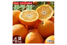 明浜産 浜のみかん屋直送 伊予柑 贈答用（４kg）