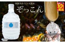 四国カルスト天然水ぞっこん（6L×2本）×2ケース　計4本
