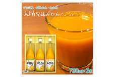 愛媛県明浜産　天晴兄妹みかんジュース（温州みかん・ぽんかん・デコぽよ） 3種類セット