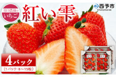 2025年発送＜谷口農園のいちご「紅い雫」約1kg（約250g×4パック）西予市 宇和町産＞ イチゴ 果物 フルーツ ストロベリー ジューシー 特産品 株式会社フジ・アグリフーズ 愛媛県 西予市【冷蔵】