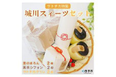 奥伊予城川の味　サトチカ特製　城川スイーツセット