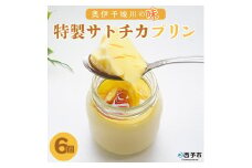 奥伊予城川の味 特製サトチカプリン（6個セット）
