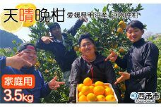 愛媛県明浜産　天晴晩柑（河内晩柑）　3.5kg
