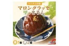 奥伊予城川の味　サトチカ特製　里のまろん（金・銀）