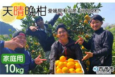 愛媛県明浜産　天晴晩柑（河内晩柑）　10kg