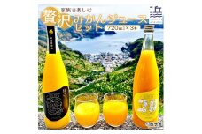 家族で楽しむ贅沢みかんジュース　３本セット（愛媛県西予市明浜産）