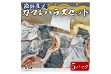 漁師直送　カマ・ハラスセット（愛媛県西予市明浜産）