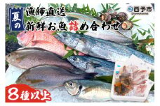 ＜漁師直送 夏の新鮮お魚詰め合わせ 8種以上＞ 魚 詰め合わせ 海鮮 海産物 海鮮セット イサキ 処理済み 麹漬け 明浜産 二ノ宮商事株式会社 愛媛県 西予市【冷凍】『5月～9月末迄に順次出荷予定』